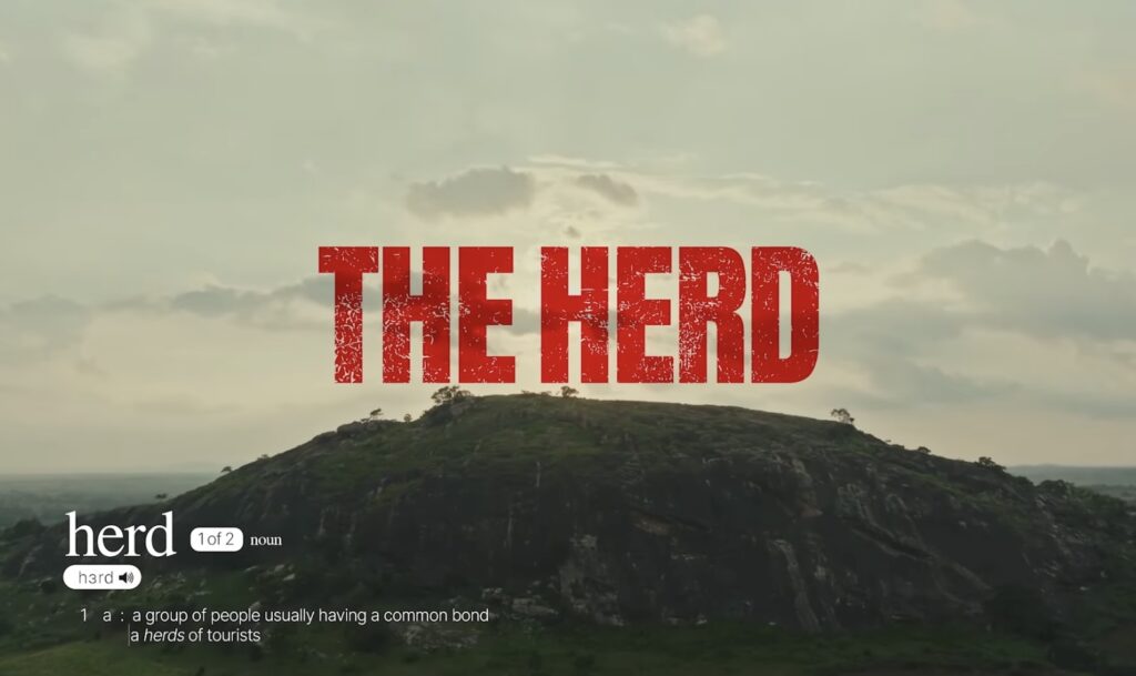 The Herd
